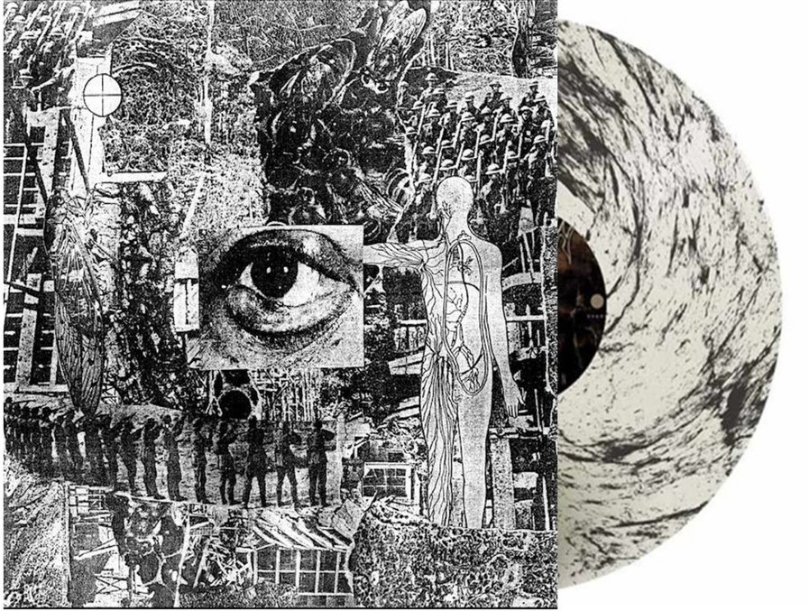 EROSION - Invasive species
