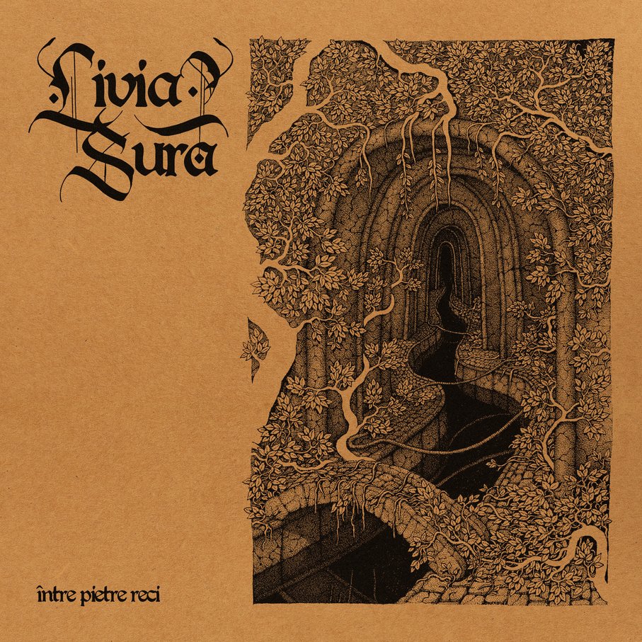 LIVIA SURA - Între pietre reci